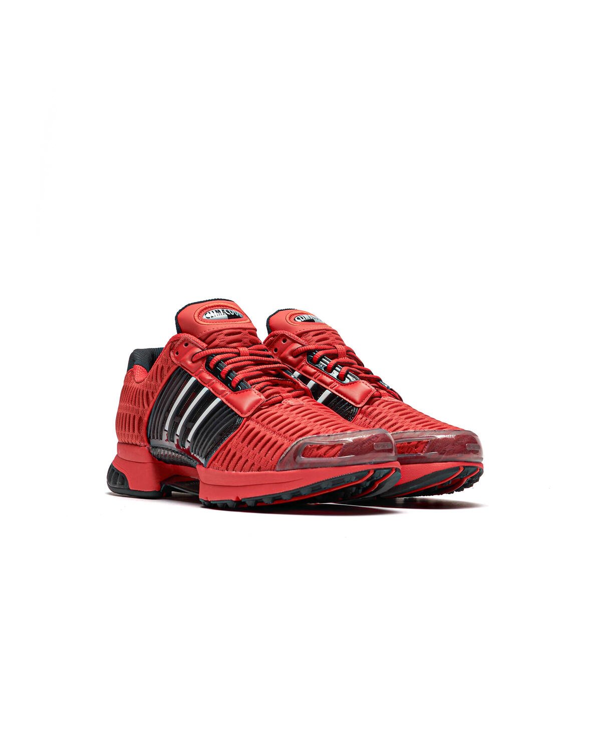 Basket climacool 1 best sale